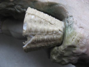 Две большие, старые статуэтки М&F. Есть травмы.