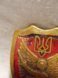 Знак УНР.