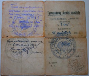 Польский летчик