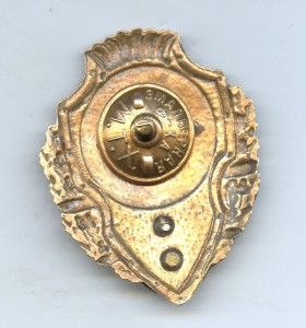 Отличный Пожарник (МТХ)