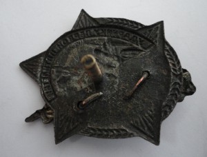Ударник первой пятилетки