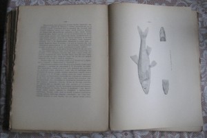 Пады - имение В.Л.Нарышикина