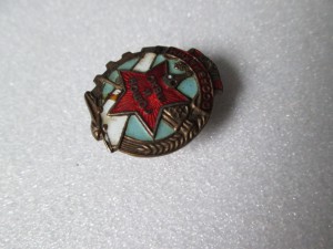 Готов к ПВХО