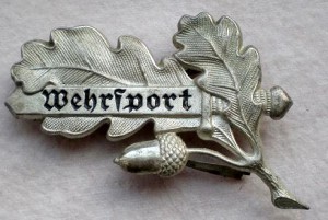 Знак руководителя боевых видов спорта.