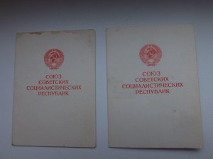 Два док. ЗДТ в ВОВ 93 г. № подряд , на мужа и жену !!!