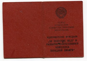 Нефтегаз Ухо Петля с доком на Гольского