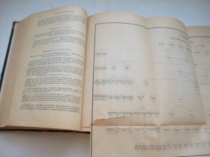 Свод Законов Российской Империи. Том Х. 1887г.