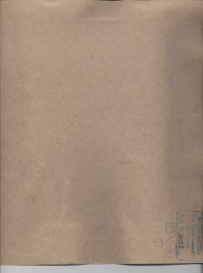 Фото Маршала Жукова из Дворца Советов