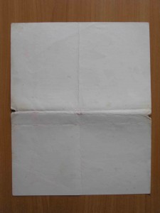 Благодарности + доки на капитана Гринберга Исаака Иосифовича