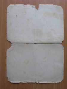 Благодарности + доки на капитана Гринберга Исаака Иосифовича