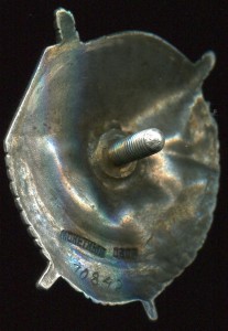 БКЗ винт на красноармейца-топографиста