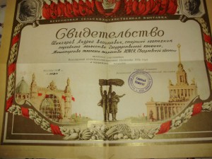 Ворошиловский всадник 2 ступени в комплекте с документами.