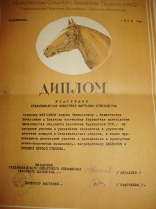 Ворошиловский всадник 2 ступени в комплекте с документами.