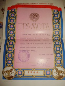 Ворошиловский всадник 2 ступени в комплекте с документами.