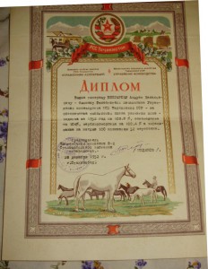 Ворошиловский всадник 2 ступени в комплекте с документами.