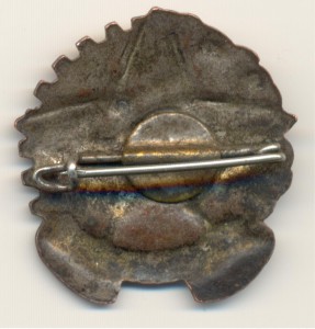 Знак среднеазиатского ГТО.
