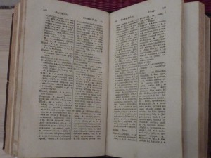 Подскажите цену. Немецко-русский словарь 1835 г.