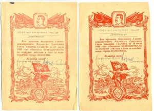 13 благодарностей на одного