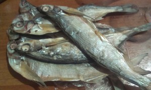 Ловись рыбка большая и очень большая...