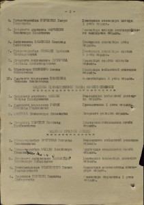 рядовой партизан Партизанского Отряда подполк-ка Прокопюка
