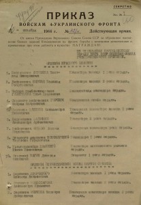 рядовой партизан Партизанского Отряда подполк-ка Прокопюка