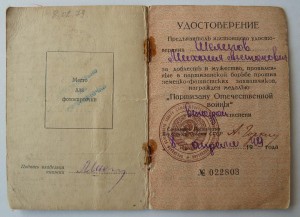 рядовой партизан Партизанского Отряда подполк-ка Прокопюка