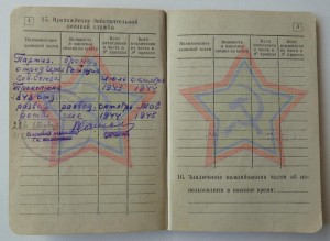 рядовой партизан Партизанского Отряда подполк-ка Прокопюка