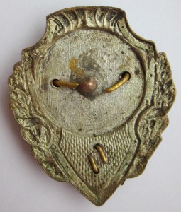 Отличный "Отличный пожарник" с удостоверением.