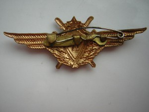 Военный лётчик 1 класса