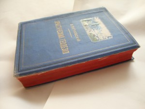 Практическая Геодезия. 1911г. Витковский.