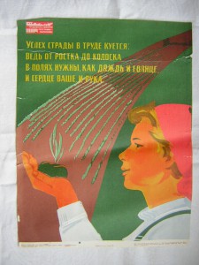 Плакаты СССР____1970 - 80 гг.____соцреализм