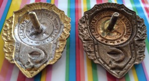 Отличник санитарной службы - нигде не описан...