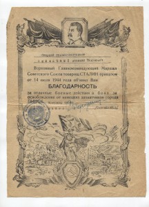Благодарность за ХОЛМ формат А4