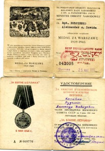 Сталинград+3 Благодарности на офицера-минометчика