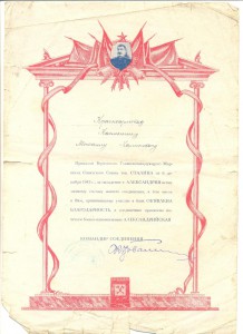 Касмынин 12 благодарностей +доки