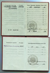 Трудовая Слава 2 ст. и 3 ст. с доками.