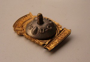 Отличный Паровозник ЛЮКС