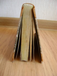 Жизнь Князя Потемкина. 1808г.