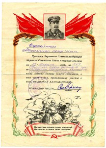 8 БВГ Авраменко П. И.