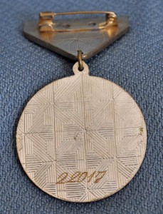 ЗБЗ и Трудовая медаль из последних (СЕТОЧКИ)