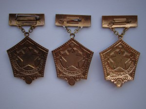 Шахтерская Слава-1,2,3 ст.