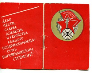 Ворошиловский стрелок. Большой