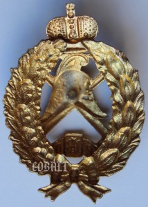 Знак отличительный ИРПО в "золоте".