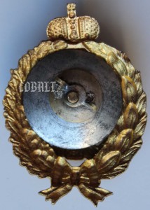 Знак отличительный ИРПО в "золоте".