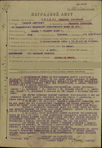 Летчик-штурмовик доки Прага,Сталинград,Берлин с подписью ГСС