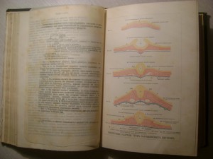 Ранке. Человек.Том 1. 1900 год.