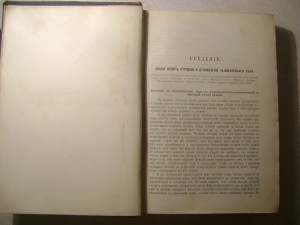 Ранке. Человек.Том 1. 1900 год.