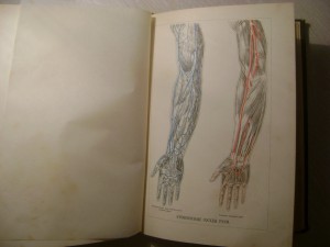 Ранке. Человек.Том 1. 1900 год.