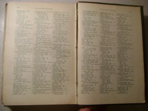Ранке. Человек.Том 1. 1900 год.