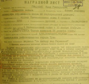 ОВ2 919.003 УК и НЛ